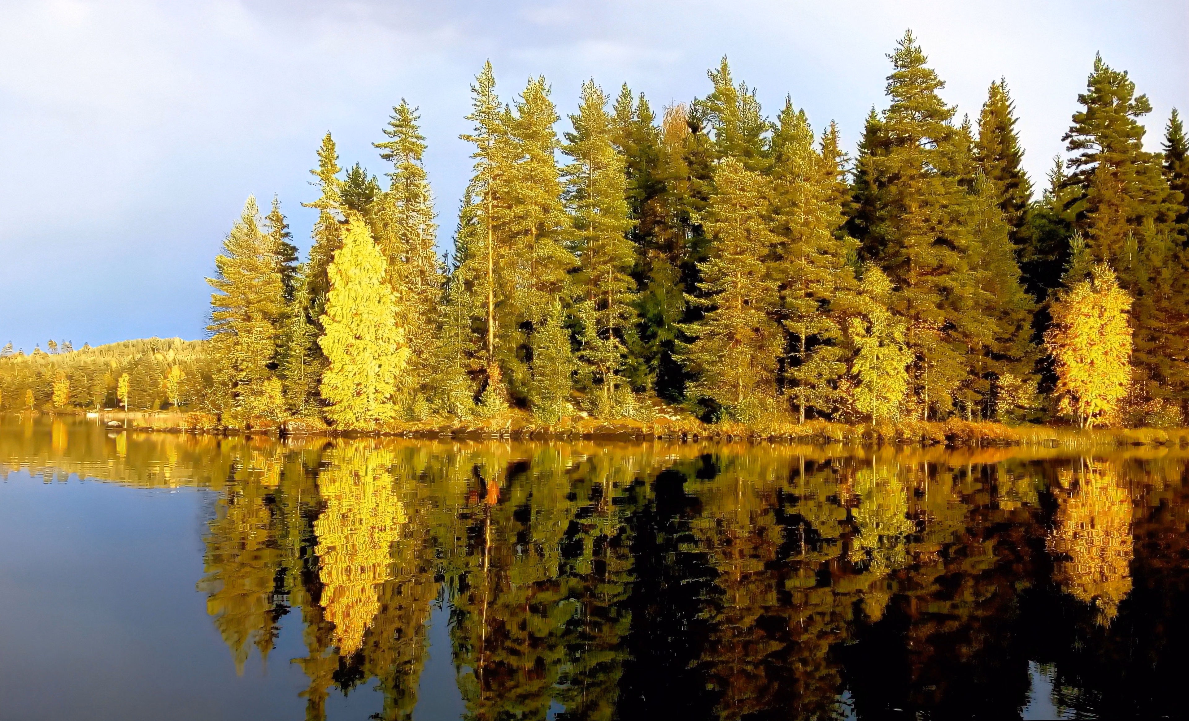 Höstgula träd som speglar sig i en stilla sjö i Dalarna